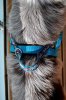 DSC_0092.jpg