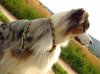 DSC04117.jpg