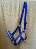 20130804_181127.jpg