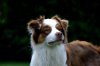 IMG_4204.CR2.jpg