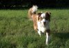 IMG_2828.CR2.jpg