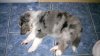 DSC_0286.jpg