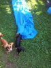 20130830_103751.jpg
