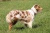 Training_Acker_0239.jpg