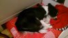 DSC_0011.jpg