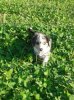 20130903_082954.jpeg