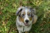 DSC_0079.jpg
