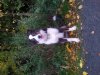 20131020_171933.jpg