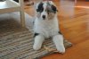 DSC_1863.jpg