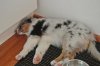 DSC_1915.jpg