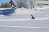DSC01970.jpg