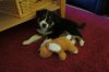 DSC00155.jpg