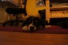 DSC00164.jpg