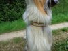 DSC00140.jpg