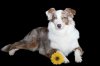 Lena_Blume_2_0812.jpg