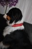 DSC_0276.jpg