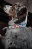 DSC_0289.jpg