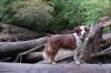 DSC_1766.jpg