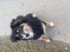 20131225_132023.jpg
