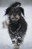 DSC_0351.jpg