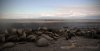 DSC_1396.jpg