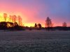 Sonnenaufgang 5.jpg