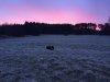 Sonnenaufgang 1.jpg