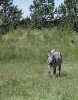 IMG_0295bearb..jpg