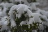 DSC_0353.jpg