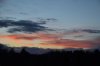 DSC_0390.jpg