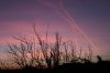 IMG_8614.jpg