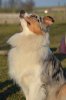 DSC_0655.jpg