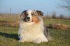 DSC_0653.jpg