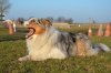 DSC_0674.jpg
