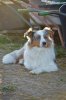 DSC_0774.jpg