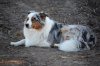 DSC_0754.jpg