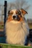DSC_0782.jpg