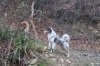 DSC02486.jpg