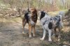 DSC03874.jpg