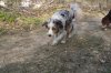 DSC03877.jpg