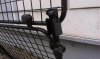 IMAG0249.jpg