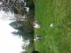 20140425_151955.jpg