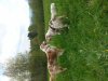 20140425_152002.jpg