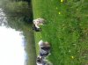 20140425_152405.jpg