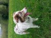 20140425_152555.jpg