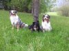 20140425_172857.jpg
