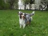 DSCF1301.jpg