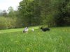 DSCF1321.jpg