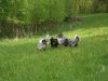 DSCF1353.jpg