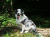 20140601_171122.jpg